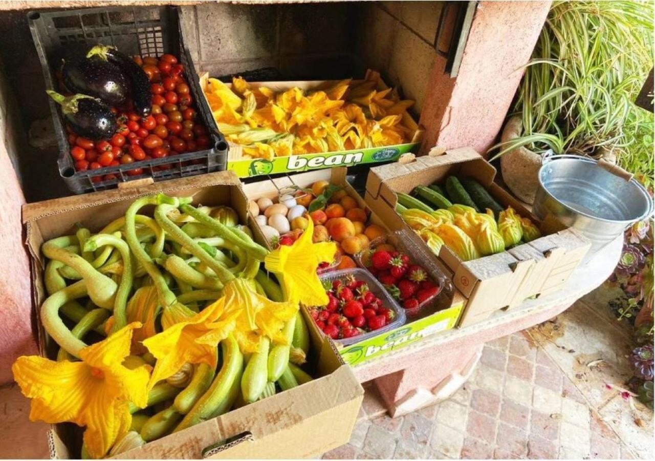 Ascheri Country House - Grimaldi, Ventimiglia Buitenkant foto