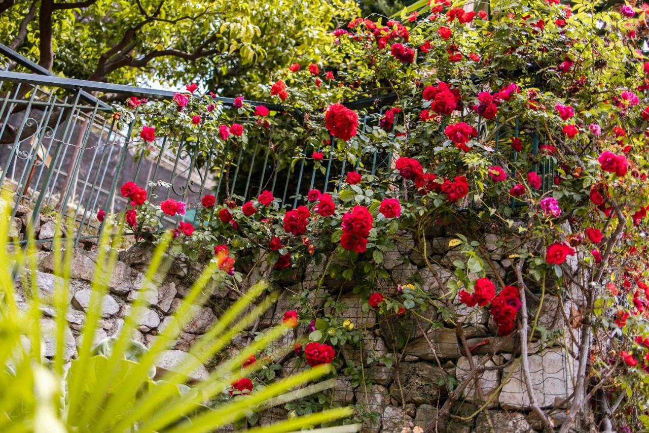 Ascheri Country House - Grimaldi, Ventimiglia Buitenkant foto
